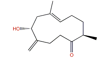 Sinuhirtin B